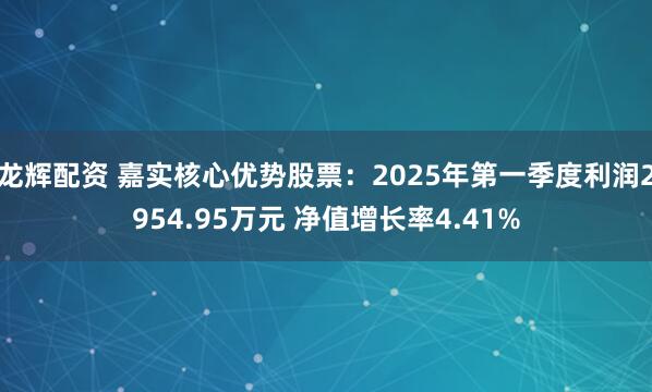 龙辉配资 嘉实核心优势股票：2025年第一季度利润2954.95万元 净值增长率4.41%