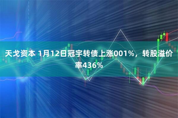 天戈资本 1月12日冠宇转债上涨001%，转股溢价率436%